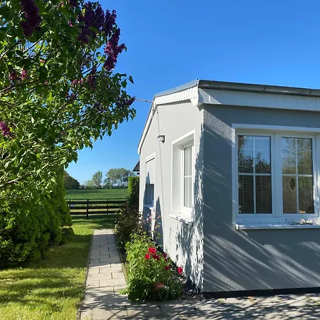 Ferienhaus Ostseemoewe
