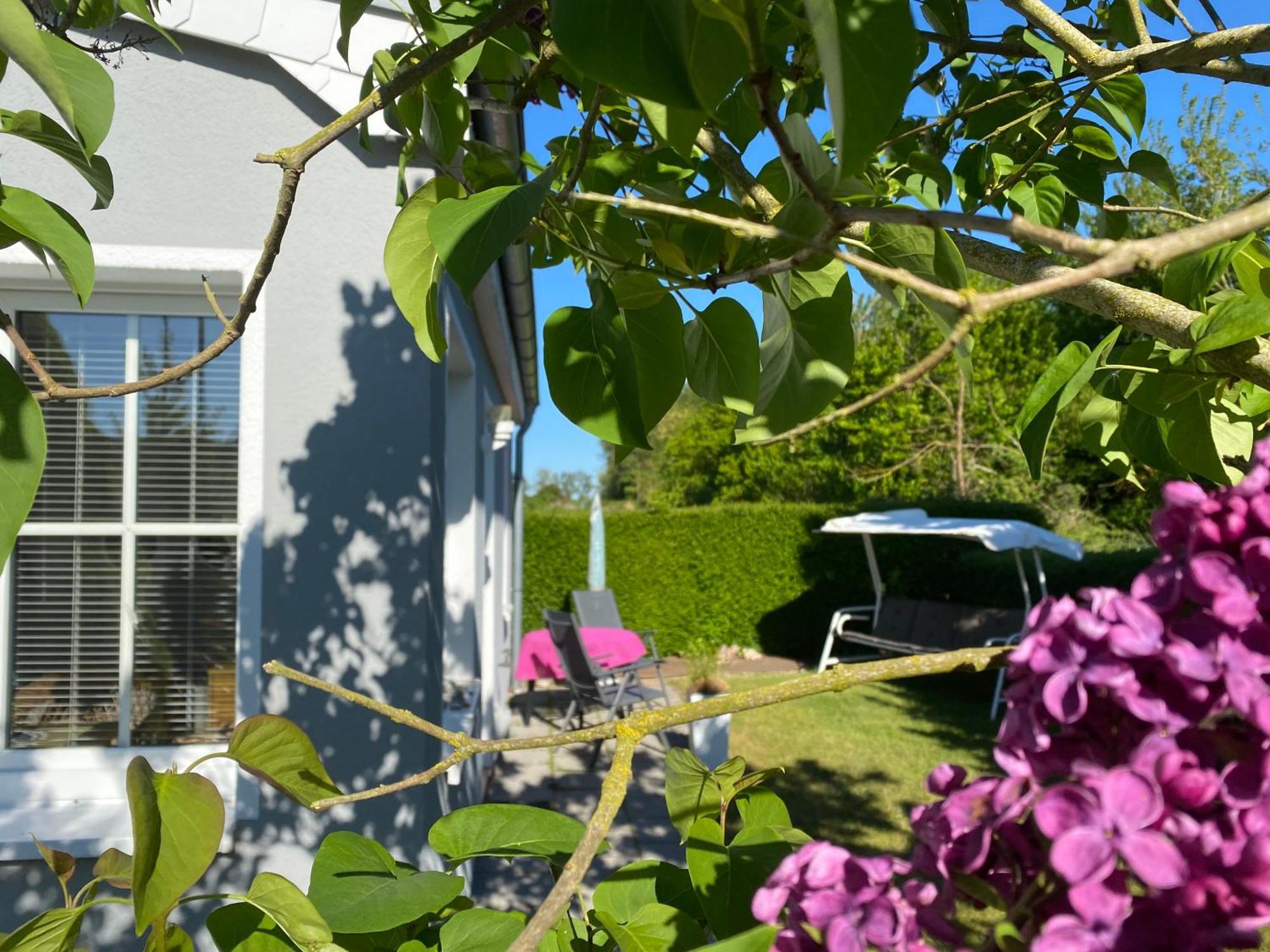 Ostseemoewe Ferienhaus